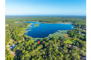 54544 BUCKHORN ROAD, ASTOR, FL 32102 - MLS#MFRG5098493