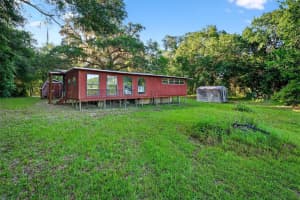 54544 BUCKHORN ROAD, ASTOR, FL 32102 - MLS#MFRG5098493