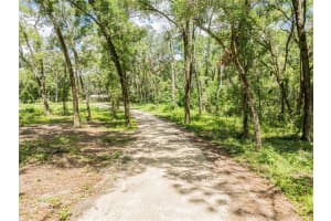 11341 11TH WAY, OXFORD, FL 34484 - MLS#MFRG5098529