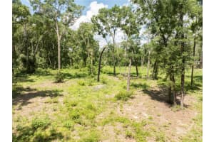 11341 11TH WAY, OXFORD, FL 34484 - MLS#MFRG5098529