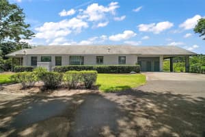 16318, 16250 & 16300 COUNTY ROAD 448, MOUNT DORA, FL 32757 - MLS#MFRG5098655