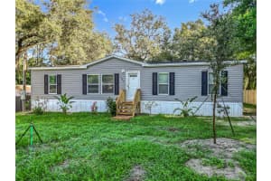 207 SKYLINE DRIVE, LADY LAKE, FL 32159 - MLS#MFRG5098663