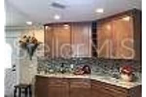 1041 REIDVILLE ROAD, THE VILLAGES, FL 32162 - MLS#MFRG5098664