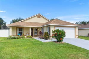 10431 REAGANS RUN DRIVE, CLERMONT, FL 34711 - MLS#MFRG5098727