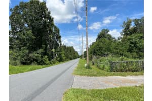 411 ALIBRANDI ROAD, LEESBURG, FL 34748 - MLS#MFRG5098737