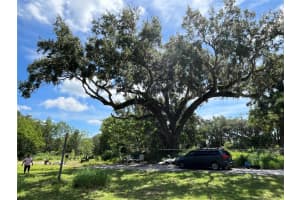 411 ALIBRANDI ROAD, LEESBURG, FL 34748 - MLS#MFRG5098737