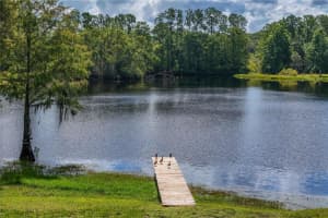 168 POND ROAD, MOUNT DORA, FL 32757 - MLS#MFRG5098739