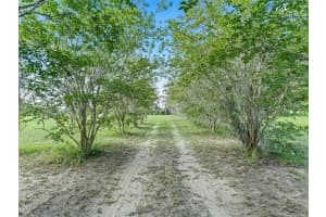 17260 55TH PLACE, OCKLAWAHA, FL 32179 Sold 08/21/25