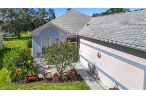 3601 MOUNT HOPE LOOP, LEESBURG, FL 34748 - MLS#MFRG5099005