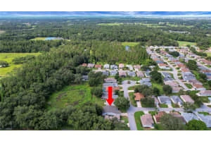 32942 RAMBLING OAKS COURT, LEESBURG, FL 34748 - MLS#MFRG5099019