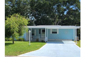 5057 EL DESTINO DRIVE, LEESBURG, FL 34748 - MLS#MFRG5099109