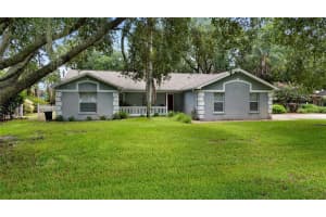 11252 ROSEHILL DRIVE, CLERMONT, FL 34711 Sold 08/07/25