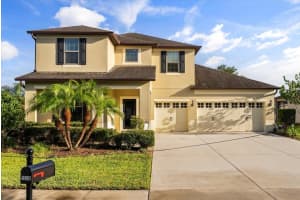 30300 Hackney Loop, MOUNT DORA