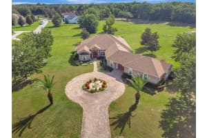 18139 GREAT BLUE HERON DRIVE, GROVELAND, FL 34736 - MLS#MFRG5099175