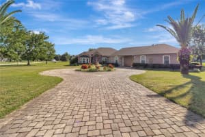 18139 GREAT BLUE HERON DRIVE, GROVELAND, FL 34736 - MLS#MFRG5099175