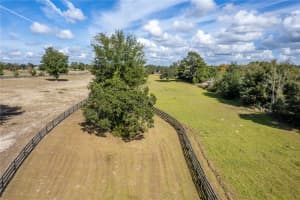 0 ONDICH ROAD, APOPKA, FL 32712 - MLS#MFRG5099220
