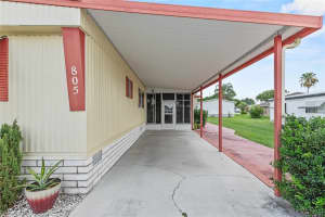 805 ROYAL PALM AVENUE, LADY LAKE, FL 32159 - MLS#MFRG5099231