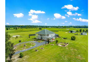 12345 14TH AVENUE, ANTHONY, FL 32617 - MLS#MFRG5099234