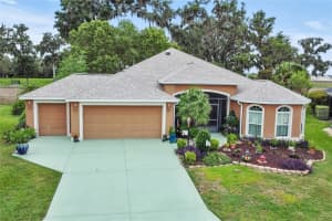 1965 Gatehouse Ter, THE VILLAGES