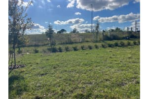 1860 SUNSHINE PEAK DRIVE, MINNEOLA, FL 34715 - MLS#MFRG5099306