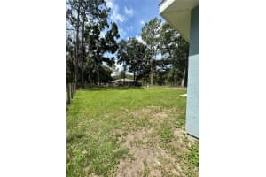 3888 143RD PLACE, SUMMERFIELD, FL 34491 - MLS#MFRG5099350