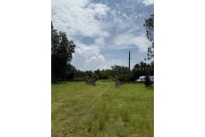 8715 STATE ROAD 33, GROVELAND, FL 34736 - MLS#MFRG5099386