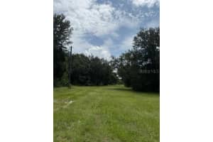 8715 STATE ROAD 33, GROVELAND, FL 34736 - MLS#MFRG5099386