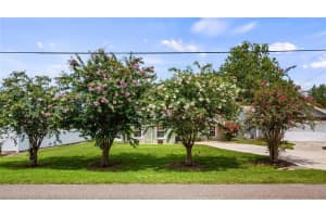 11746 OSWALT ROAD, CLERMONT, FL 34711 - MLS#MFRG5099402