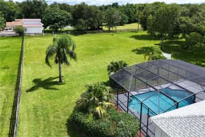 7811 LAUREL VIEW DRIVE, MOUNT DORA, FL 32757 Sold 11/24/25