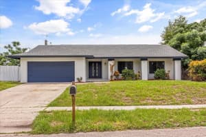 8602 Larwin Ln, ORLANDO