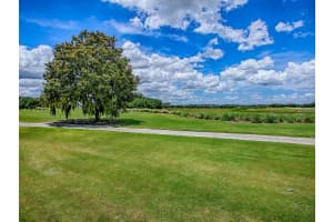 1417 BLEASE LOOP, THE VILLAGES, FL 32162 Sold 08/11/25