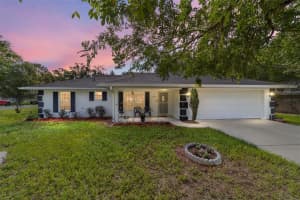 11793 Se 74th Ter, BELLEVIEW