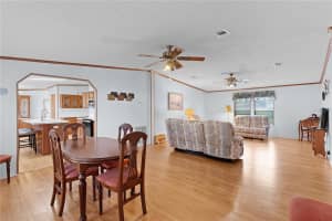 16 RIVERVIEW DRIVE, FRUITLAND PARK, FL 34731 - MLS#MFRG5099602