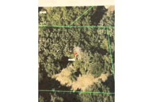 6641 POPE ROAD, ORLANDO, FL 32810 - MLS#MFRG5099648