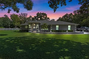 423 SPRING HOLLOW BOULEVARD, APOPKA, FL 32712 - MLS#MFRG5099733
