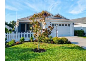 2466 SOPER STREET, THE VILLAGES, FL 32163 - MLS#MFRG5099735