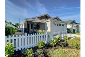 2466 SOPER STREET, THE VILLAGES, FL 32163 - MLS#MFRG5099735