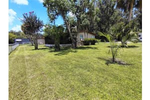 46 WILDERNESS DRIVE, LAKE PANASOFFKEE, FL 33538 - MLS#MFRG5099805