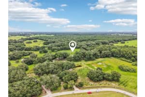 5117 CR 316A, BUSHNELL, FL 33513 - MLS#MFRG5099810