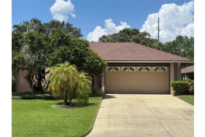 2021 Arbor Way, MOUNT DORA