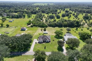 32730 SCENIC HILLS DRIVE, MOUNT DORA, FL 32757 - MLS#MFRG5099940