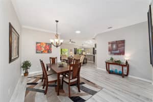 428 POMEGRANATE PATH, THE VILLAGES, FL 32163 Sold 11/05/25