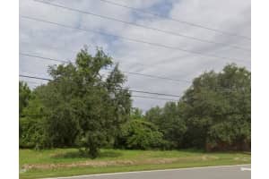 TOM CHAPMAN RD, GROVELAND, FL 34736 - MLS#MFRG5099971