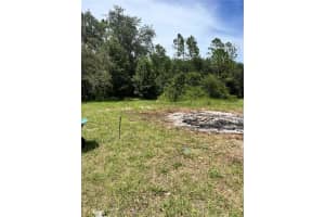 7833 BAY LAKE ROAD, GROVELAND, FL 34736 - MLS#MFRG5099982