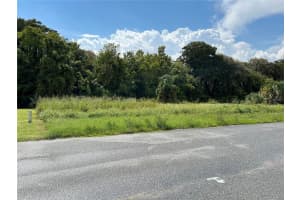 REDTREE DR, LEESBURG, FL 34748 - MLS#MFRG5100010
