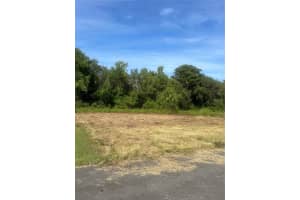 REDTREE DR, LEESBURG, FL 34748 - MLS#MFRG5100010
