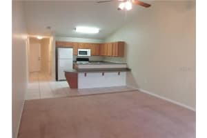 33 SAINT LOUIS AVENUE, EUSTIS, FL 32726 - MLS#MFRG5100012