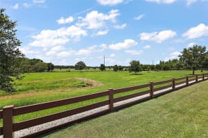 11216 HESS WAY, OXFORD, FL 34484 - MLS#MFRG5100022
