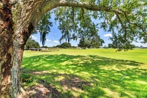 667 RAINBOW BOULEVARD, LADY LAKE, FL 32159 - MLS#MFRG5100032