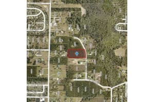 6825 SILVER CHARM COURT, LEESBURG, FL 34748 - MLS#MFRG5100172